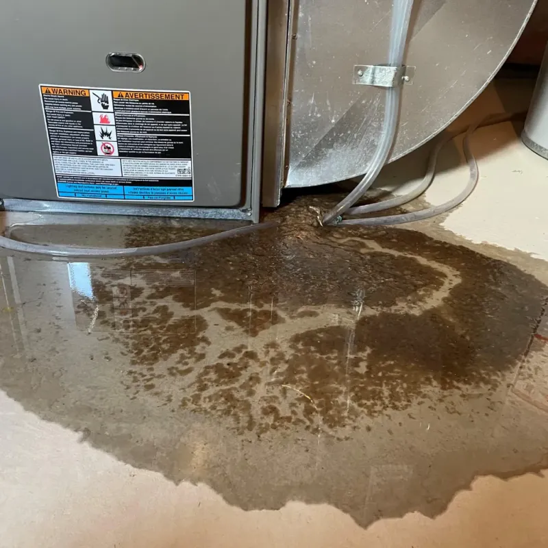 Appliance Leak Cleanup in Alexandria Bay, NY